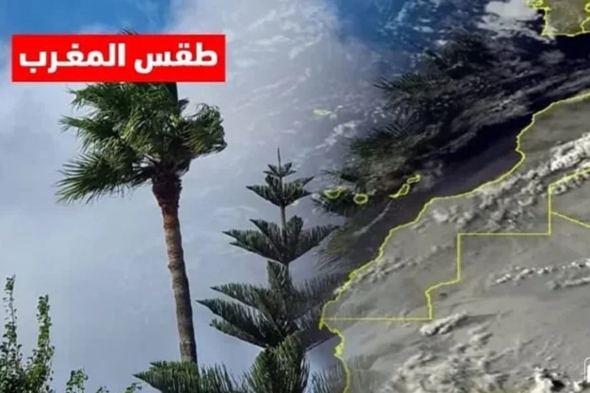 ثلوج وأمطار غزيرة وعاصفة رعدية تضرب مدن المملكة حالة الطقس في المغرب صقيع شديد مع تشكل الضباب جراء منخفض جوي اطلسي بارد 2 ثلوج وأمطار غزيرة وعاصفة رعدية تضرب مدن المملكة حالة الطقس في المغرب صقيع شديد مع تشكل الضباب جراء منخفض جوي اطلسي بارد