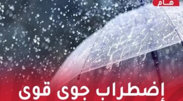 جوي2 1