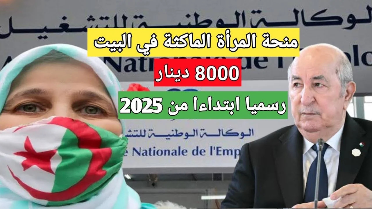 “الوكالة الوطنية للتشغيل anem.dz”.. خطوات التسجيل في منحة المرأة الماكثة في البيت 2025 بالجزائر
