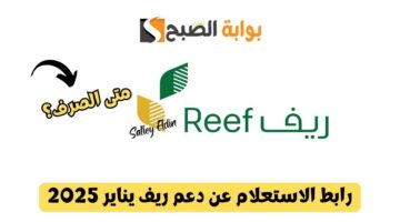 رابط الاستعلام عن دعم ريف يناير 2025