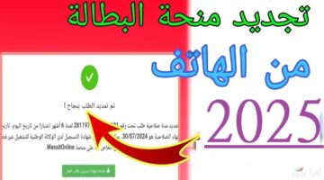 رابط تجديد منحة البطالة كل 6 أشهر من الهاتف 2025 عبر الوكالة الوطنية للتشغيل