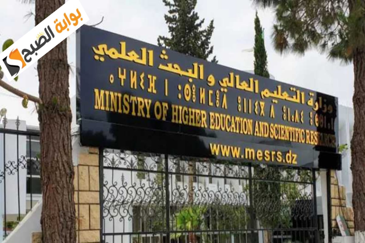 الجزائر: رزنامـة تنظيـم مسابقـة الالتحـاق بالتّكويـن في الطور الثالـث الدخـول الجامعـي 2024-2025 5 الجزائر: رزنامـة تنظيـم مسابقـة الالتحـاق بالتّكويـن في الطور الثالـث الدخـول الجامعـي 2024-2025