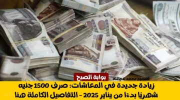 زيادة المعاشات