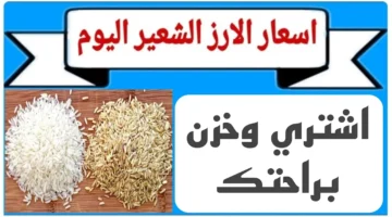 سعر الأرز الشعير والأبيض اليوم الثلاثاء 21 يناير 2025 في الأسواق. كم سجل الطن؟