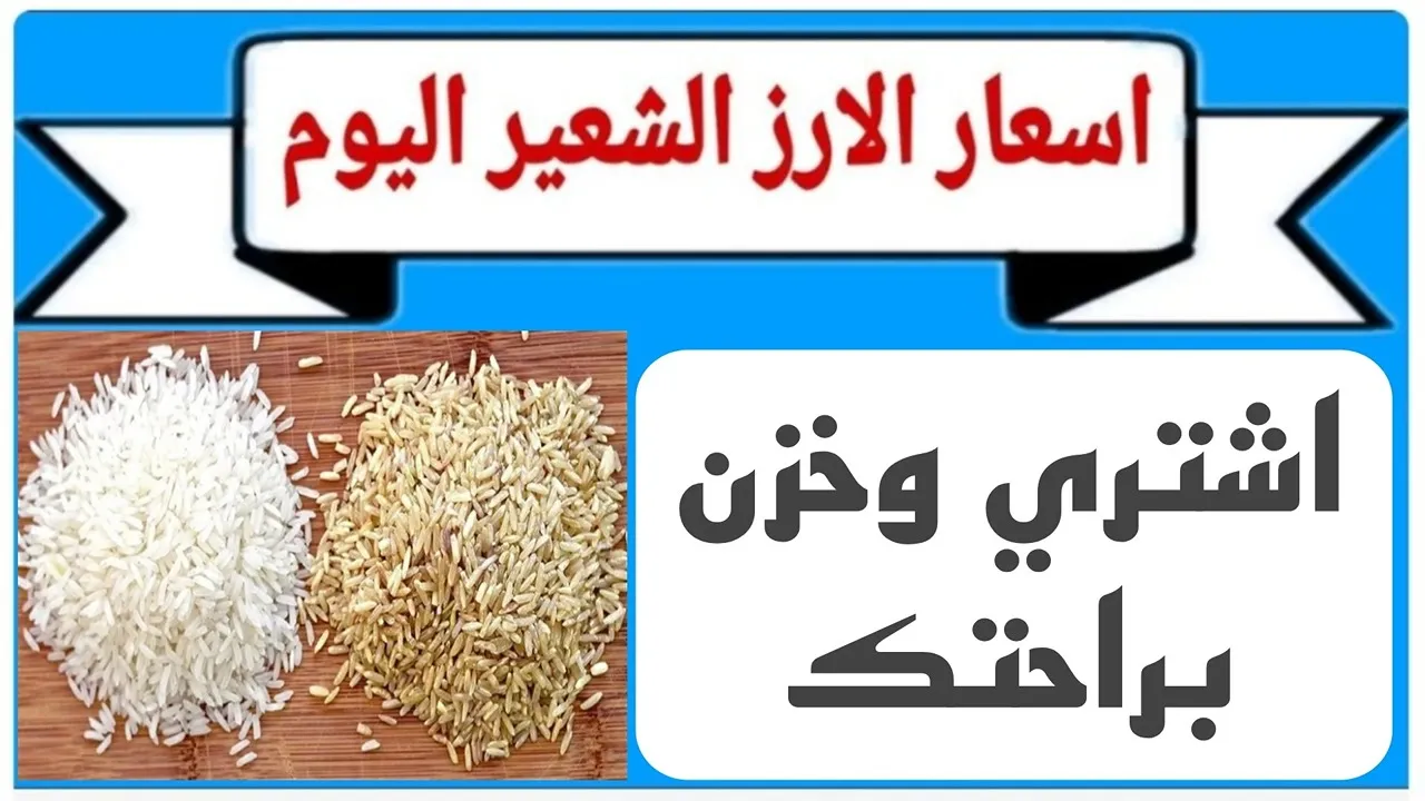سعر الأرز الشعير والأبيض اليوم الثلاثاء 21 يناير 2025 في الأسواق.. كم سجل الطن؟