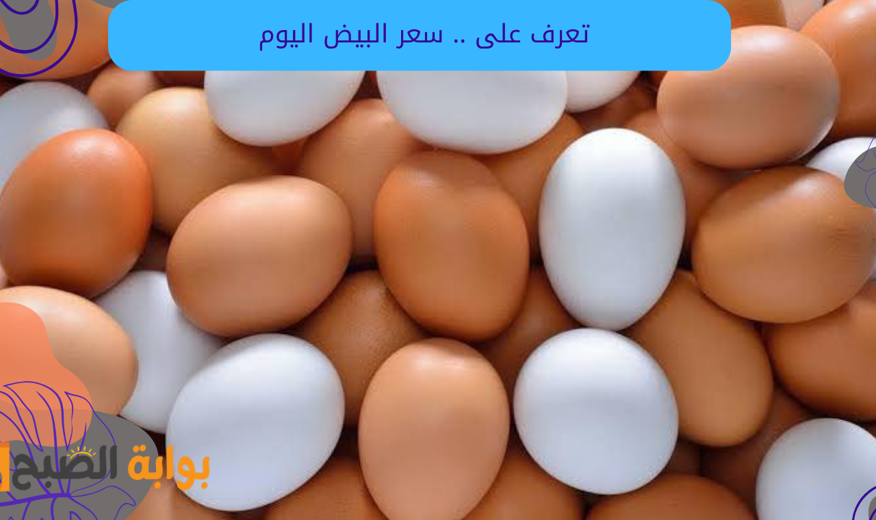 بورصة الدواجن.. ارتفاع سعر كرتونة البيض الاحمر والابيض اليوم في السوق المصري للمستهلك أعرف الأسعار