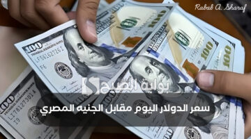 سعر الدولار اليوم مقابل الجنيه المصري 1