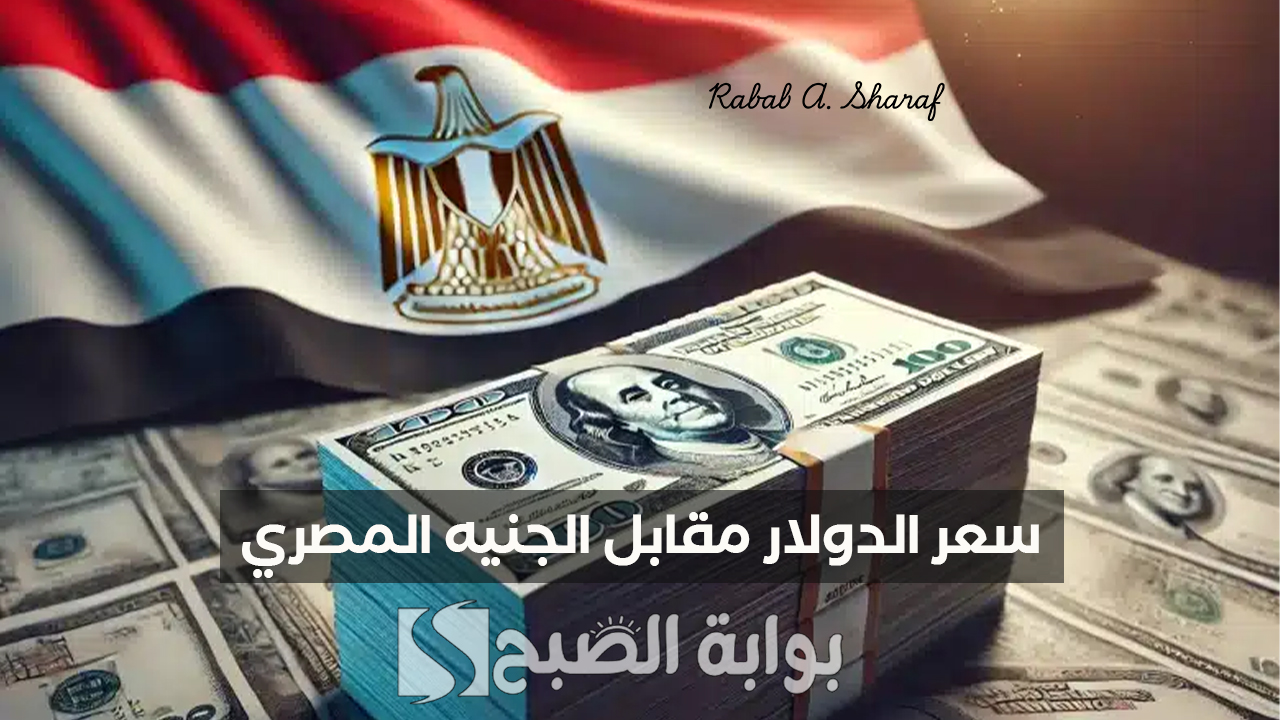 استقرار نسبي.. سعر الدولار مقابل الجنيه المصري اليوم السبت 25 يناير 2025 وأسعار العملات الأخرى