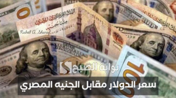 سعر الدولار مقابل الجنيه المصري 2