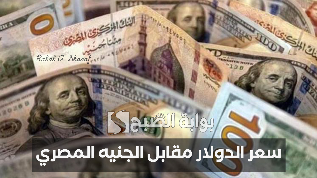 "المعاملات البنكية اليوم".. سعر الدولار مقابل الجنيه المصري اليوم الثلاثاء 28 يناير 2025 وأسعار العملات الأخرى 5 “المعاملات البنكية اليوم”.. سعر الدولار مقابل الجنيه المصري اليوم الثلاثاء 28 يناير 2025 وأسعار العملات الأخرى