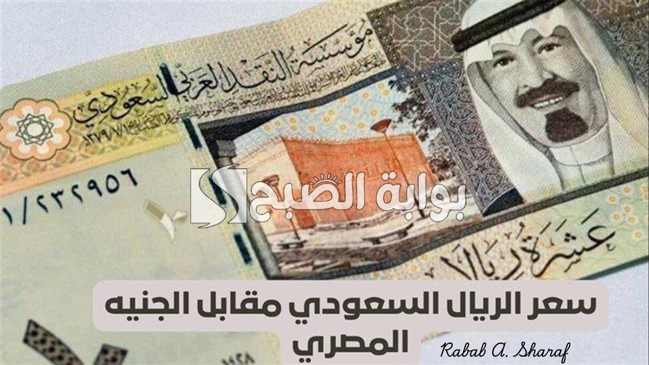 “تغييرات مستمرة”.. سعر الريال السعودي مقابل الجنيه المصري اليوم السبت 25 يناير 2025