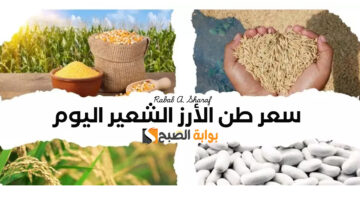 سعر طن الأرز الشعير اليوم