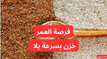 سعر طن الأرز الشعير اليوم الأربعاء 29 1 2025 والأبيض