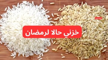 سعر طن الأرز الشعير اليوم الاثنين 27 1 2025 في الأسواق والأبيض