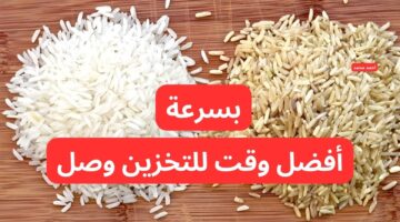 سعر طن الأرز الشعير اليوم الثلاثاء 28 1 2025 و أسعار الأرز الأبيض