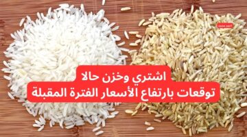 سعر طن الأرز الشعير اليوم الجمعة 31 1 2025 والأبيض