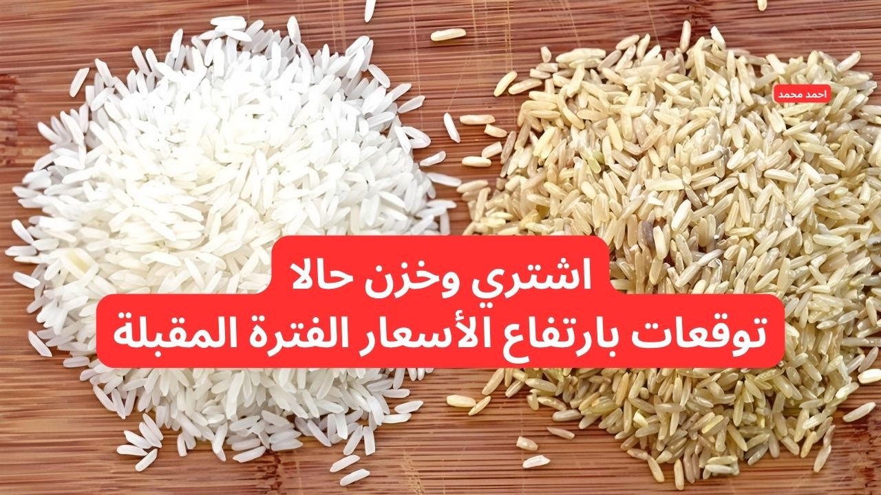 بعد آخر انخفاض.. سعر طن الأرز الشعير اليوم الجمعة 31-1-2025 والأبيض! 2 بعد آخر انخفاض.. سعر طن الأرز الشعير اليوم الجمعة 31-1-2025 والأبيض!