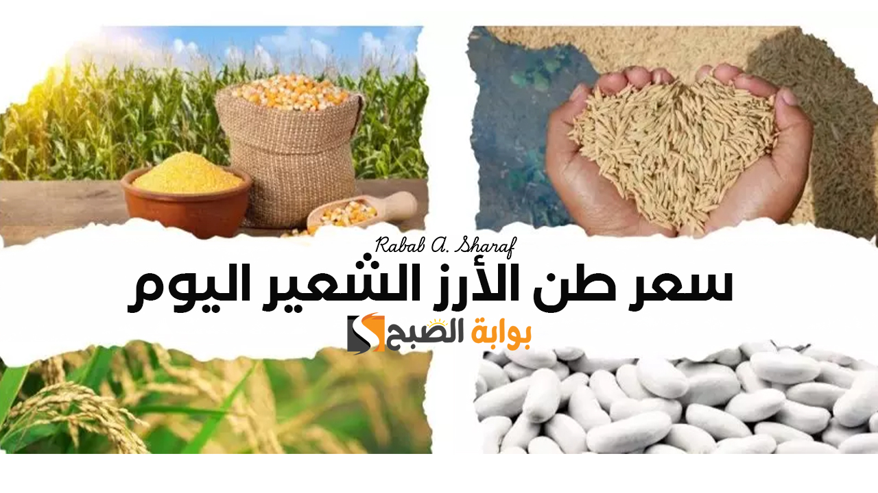 "خزني لرمضان".. سعر طن الأرز الشعير اليوم الأحد 19 يناير 2025 وأسعاء السلع الأساسية 2 “خزني لرمضان”.. سعر طن الأرز الشعير اليوم الأحد 19 يناير 2025 وأسعاء السلع الأساسية