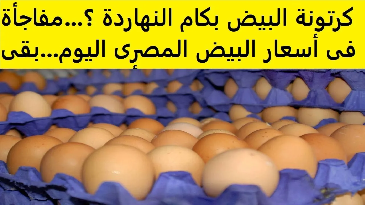 سعر كرتونة البيض اليوم 2 يناير 2025 للمستهلك وجميع المنافذ بالأسواق المحلية 2 سعر كرتونة البيض اليوم 2 يناير 2025 للمستهلك وجميع المنافذ بالأسواق المحلية