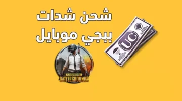 شحن شدات ببجي 1