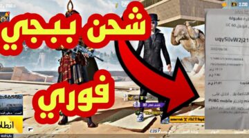 شحن شدات ببجي