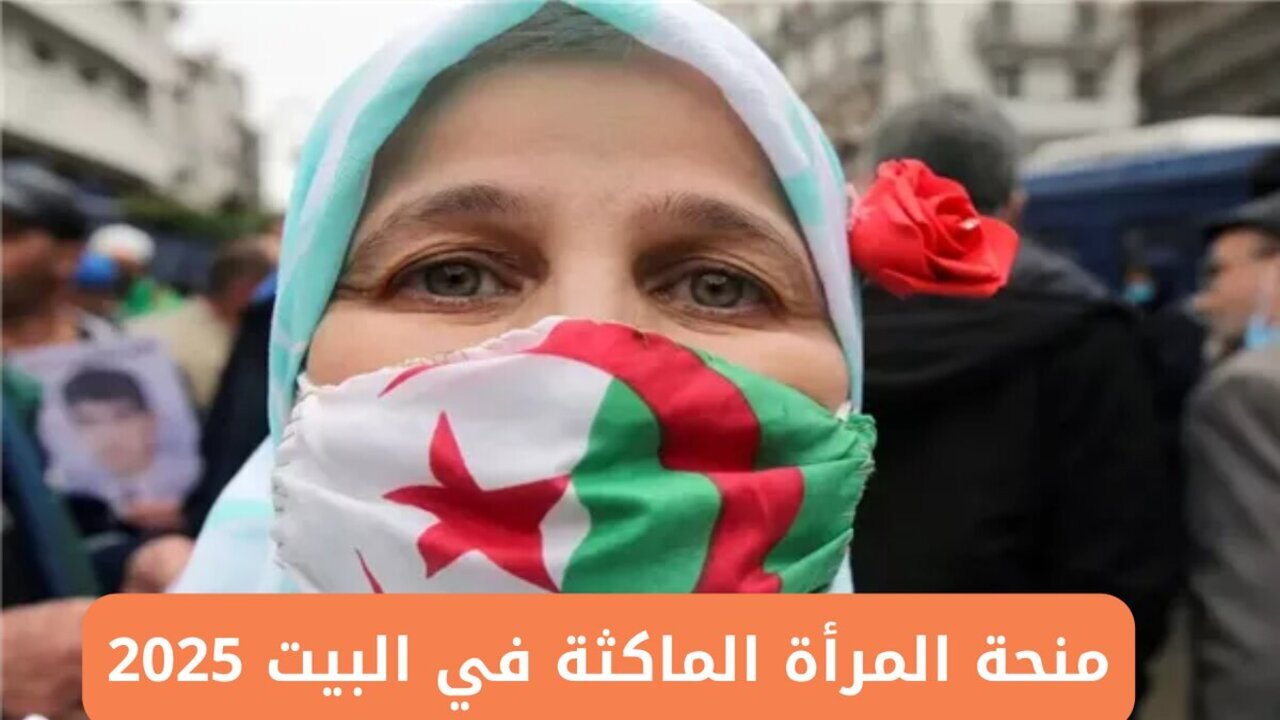 الوكالة الوطنية للتشغيل منحة المرأة الماكثة في البيت 2025 وأهم الشروط المطلوبة