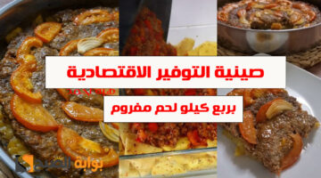 صينية التوفير االاقتصادية