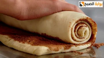 طريقة عمل السينابون 2