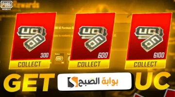 طريقة مضمونة لشحن شدات ببجي موبايل 2025