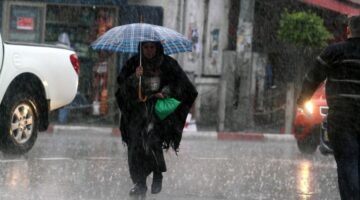 طقس الجزائر