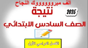 ظهرت رسميًا. نتيجة الصف السادس الابتدائي 2025 بالرقم القومي فقط محافظة الجيزة