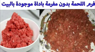 فرم اللحم بدون مفرمة