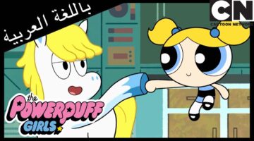 كرتون نتورك بالعربية