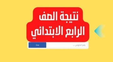 لينك رسمي. الاستعلام عن نتيجة الصف الرابع الابتدائي 2025 بالاسم فقط أو برقم الجلوس فور ظهورها