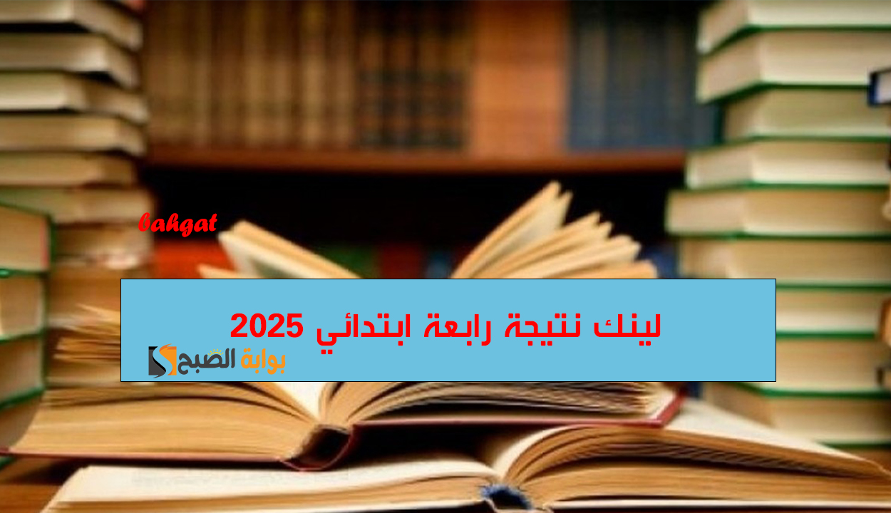 فور ظهورها.. لينك نتيجة رابعة ابتدائي 2025 الترم الأول محافظة القاهرة بخطوات ميسرة