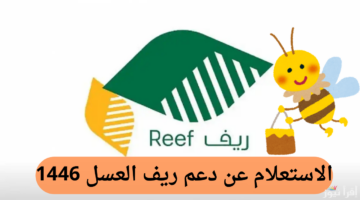 ما هي شروط التسجيل وخطوات الاستعلام عن دعم ريف العسل؟ وزارة البيئة والمياه والزراعة توضح