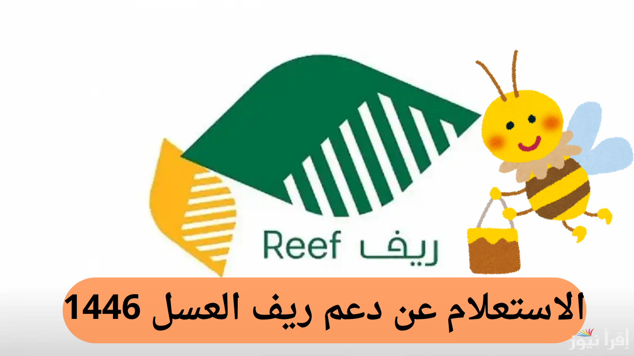 ما هي شروط التسجيل وخطوات الاستعلام عن دعم ريف العسل؟ وزارة البيئة والمياه والزراعة توضح 2 ما هي شروط التسجيل وخطوات الاستعلام عن دعم ريف العسل؟ وزارة البيئة والمياه والزراعة توضح