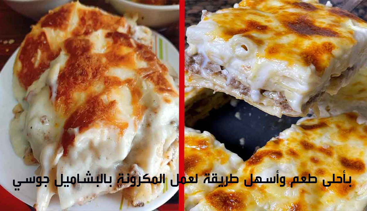 سر عمل المكرونة البشاميل جوسي زي المطاعم.. إليك طريقة عملها  ومكوناتها
