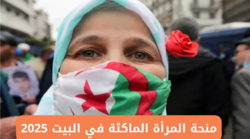 منحة المرأة الماكثة 3 1