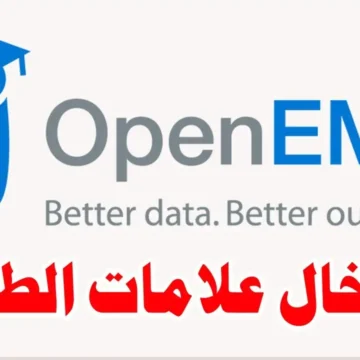 وزارة التربية الأردنية تعلن عن رابط “أوبن إيمس” لاستخراج نتائج الطلاب لعام 2025