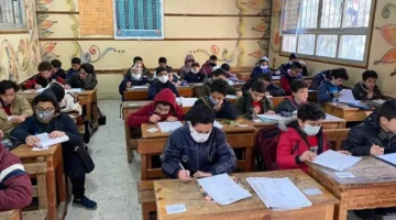 موعد إعلان نتيجة الصف الرابع والخامس والسادس الابتدائي بمحافظة الإسكندرية