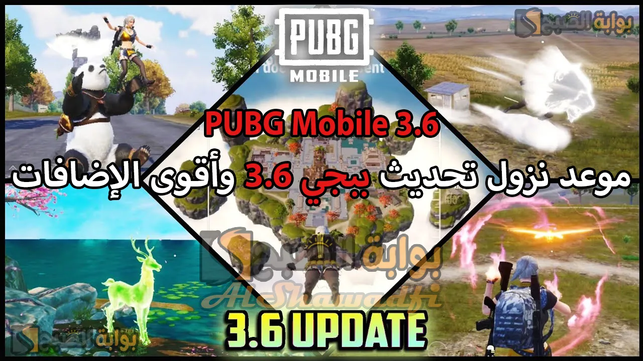 “مكافآت ضخمة”.. موعد نزول تحديث ببجي 3.6 PUBG Mobile وأقوى الإضافات الجديدة مود الباندا ومركبات خرافية وقدرات خيالية