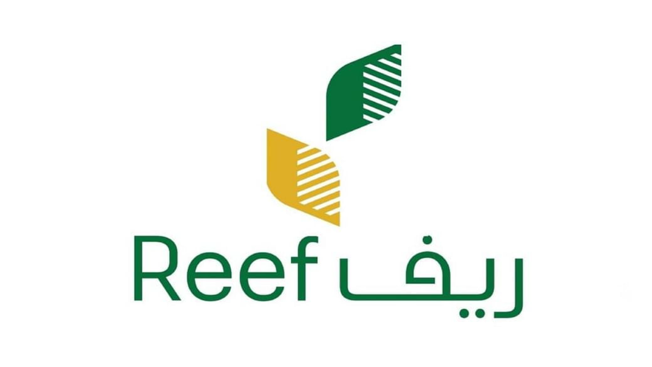 التقديم إلكتروني.. موعد نزول دعم ريف لشهر يناير 2025 وهذه خطوات الاستعلام