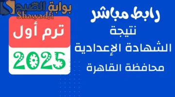 نتائج التعليم الأساسي برقم الجلوس. رابط نتيجة الشهادة الإعدادية 2025 محافظة القاهرة فور إعلانها