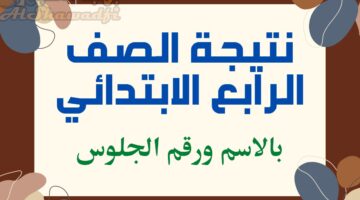 نتيجة 4 ابتدائي بالاسم ورقم الجلوس. ظهور نتيجة الصف الرابع الابتدائي 2025 الترم الأول في عدة محافظات