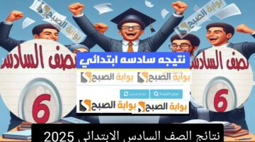 نتيجة 6 ابتدائي