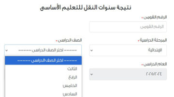 نتيجة ابتدائي 2025
