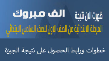نتيجة ابتدائي الجيزة 2025