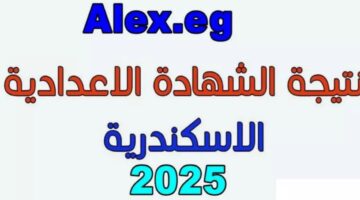 نتيجة الشهادة الإعدادية في محافظة الإسكندرية 2025
