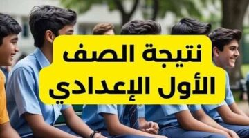 نتيجة الصف الأول الإعدادي 650x450 1